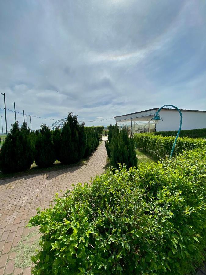 Green Oasis Apartment Stolniceni-Prajescu Bagian luar foto